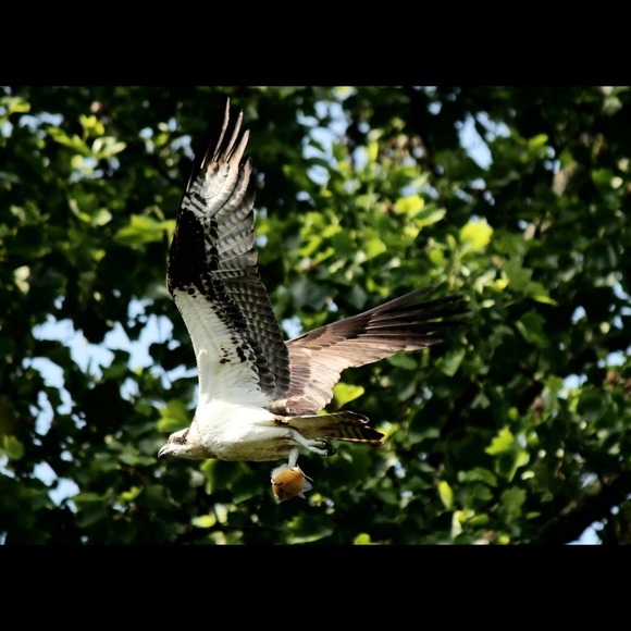 Meet your Posher, Tammy - Picture 6 of 8